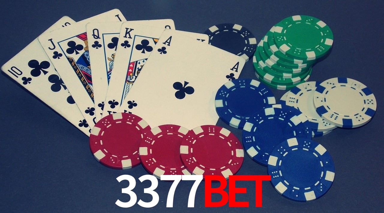 Statistics 3377bet