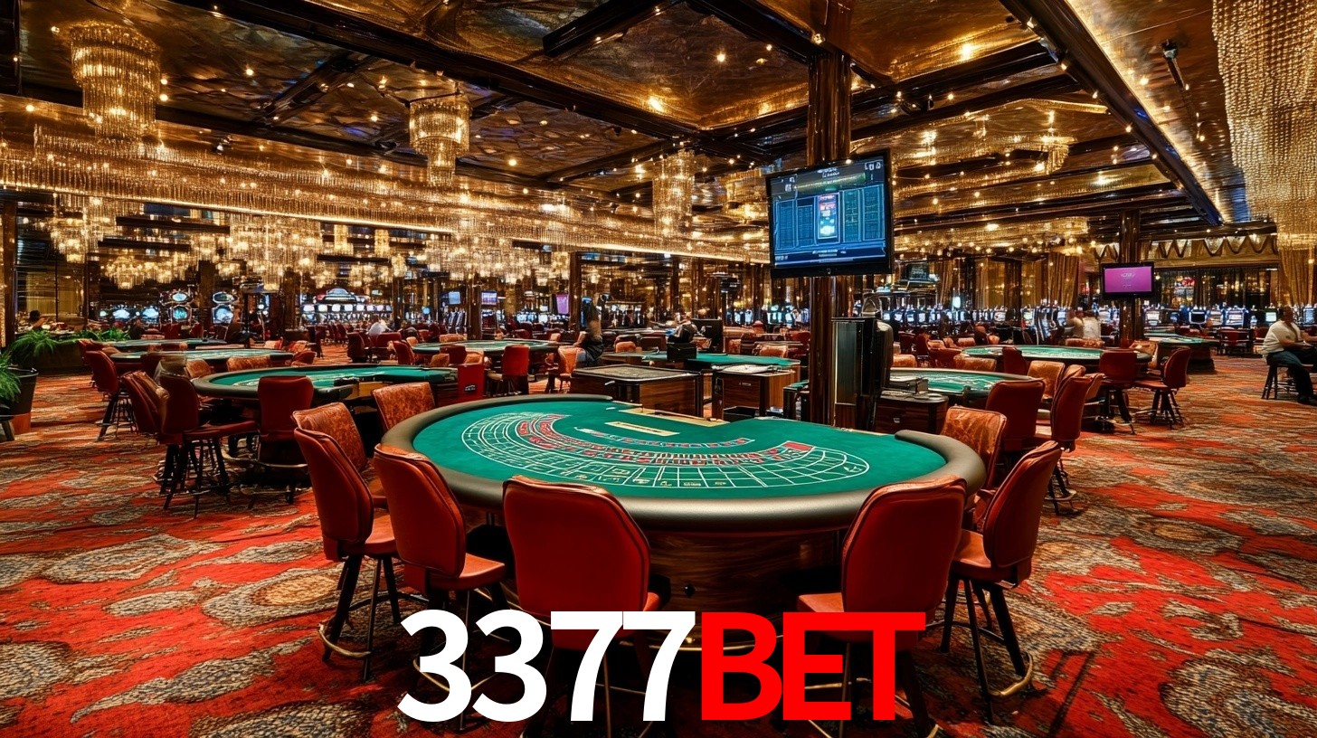 3377bet: Seu Especialista em Apostas Esportivas Brasileiras